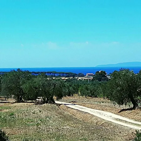 Holiday home Olga *